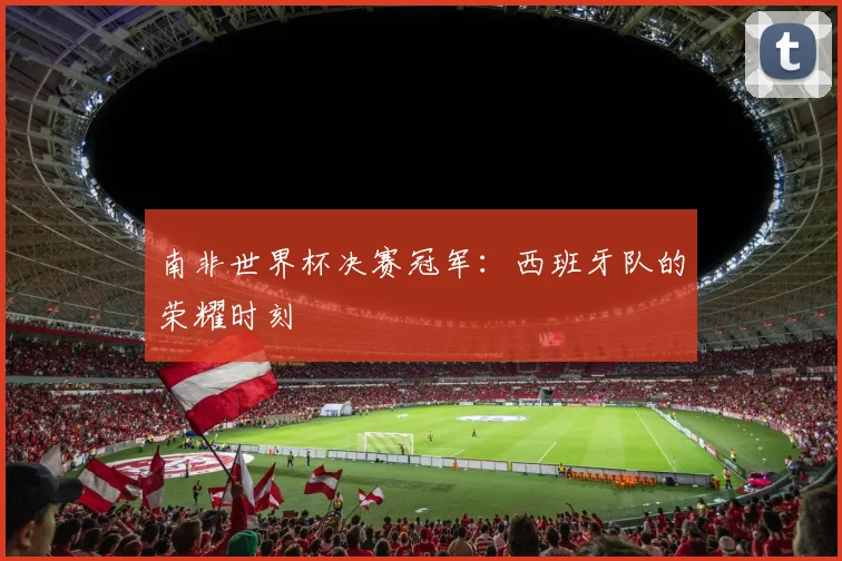 南非世界杯决赛冠军：西班牙队的荣耀时刻