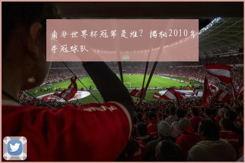 南非世界杯冠军是谁？揭秘2010年夺冠球队