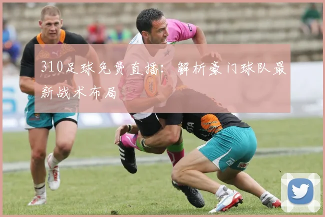 310足球免费直播：解析豪门球队最新战术布局